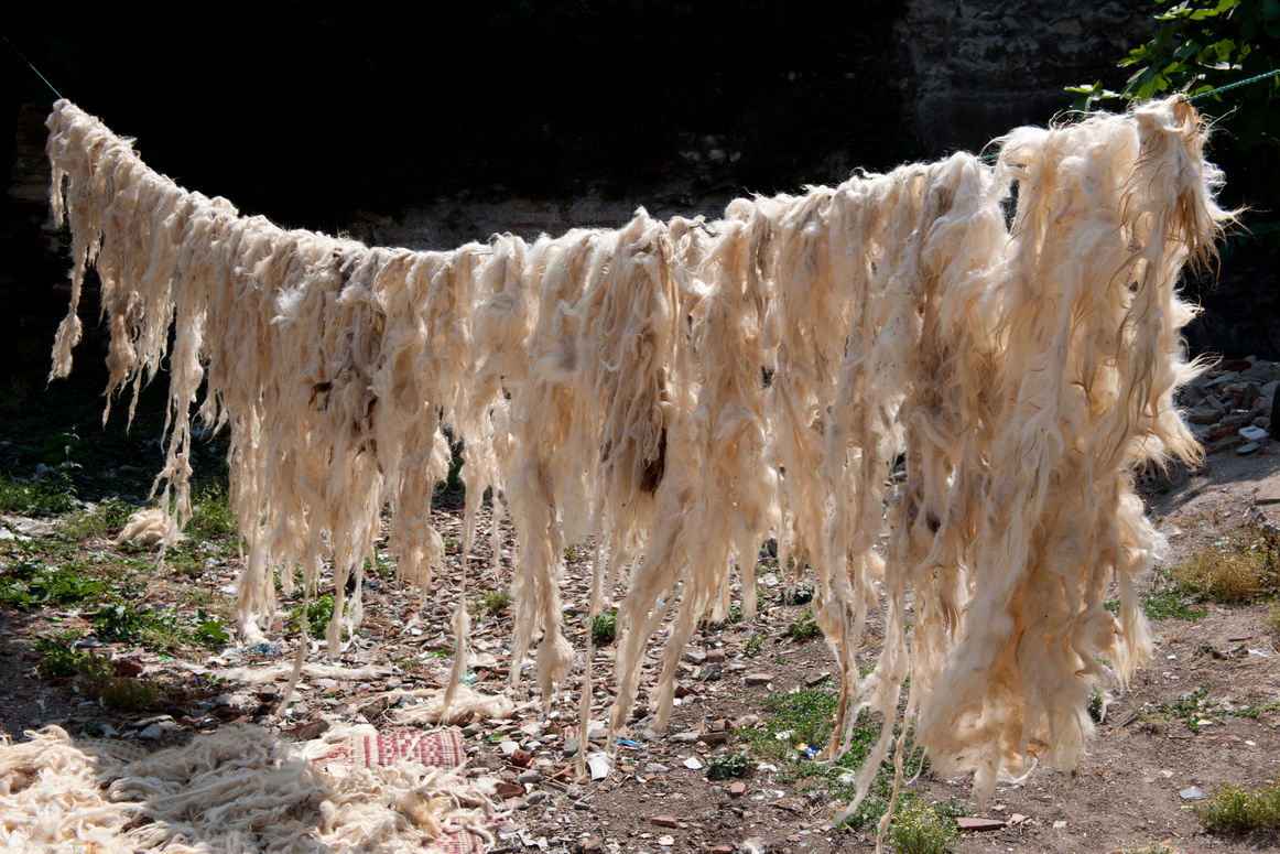 naturally colored wool